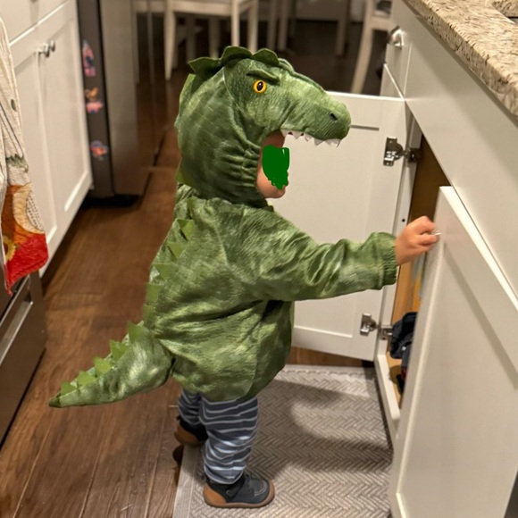 Green T-Rex Dinosaur Kids Costume size 18-24 months - Picture 8 of 8
